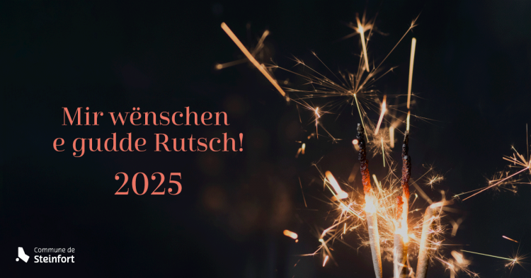 2025 Silvester