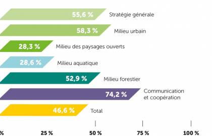 Grpahique PN Steinfort FR